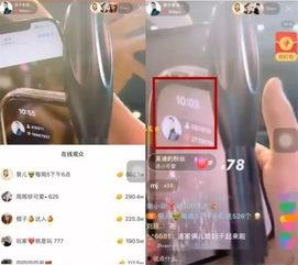 仙家直播爆料视频,爆料视频背后的惊人内幕  第2张