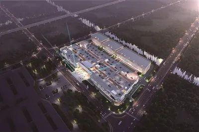 龙港最新爆料,揭秘神秘项目背后的惊人真相  第3张